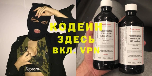 прущий лед Вяземский