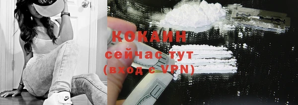 гидра Вязники