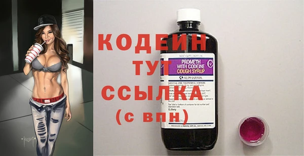 прущий лед Вяземский