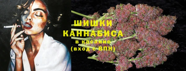 ПСИЛОЦИБИНОВЫЕ ГРИБЫ Вязьма