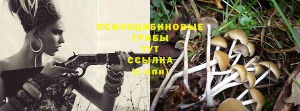 прущий лед Вяземский