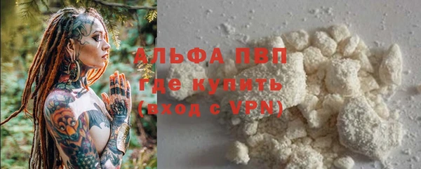ПСИЛОЦИБИНОВЫЕ ГРИБЫ Вязьма