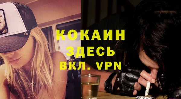 ПСИЛОЦИБИНОВЫЕ ГРИБЫ Вязьма